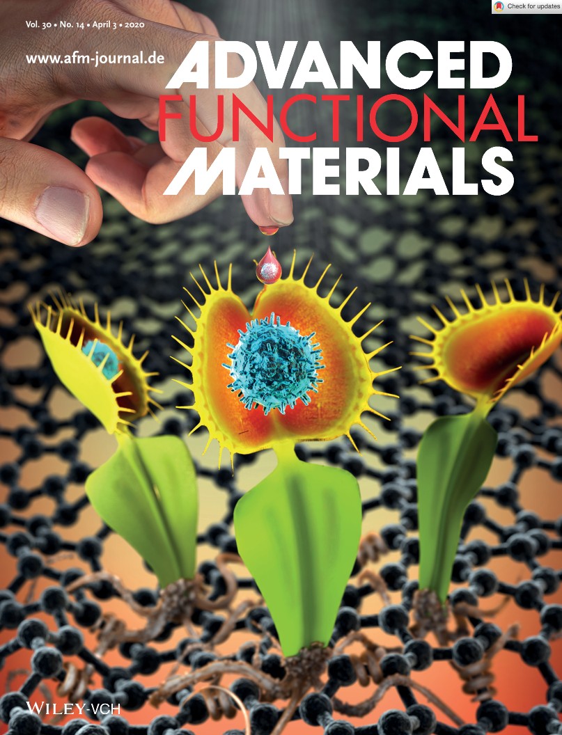 Immunosensing Platforms: A Polyallylamine Anchored Amine-Rich Laser-Ablated Graphene Platform for Facile and Highly Selective Electrochemical IgG Biomarker Detection (Adv. Funct. Mater. 14/2020)