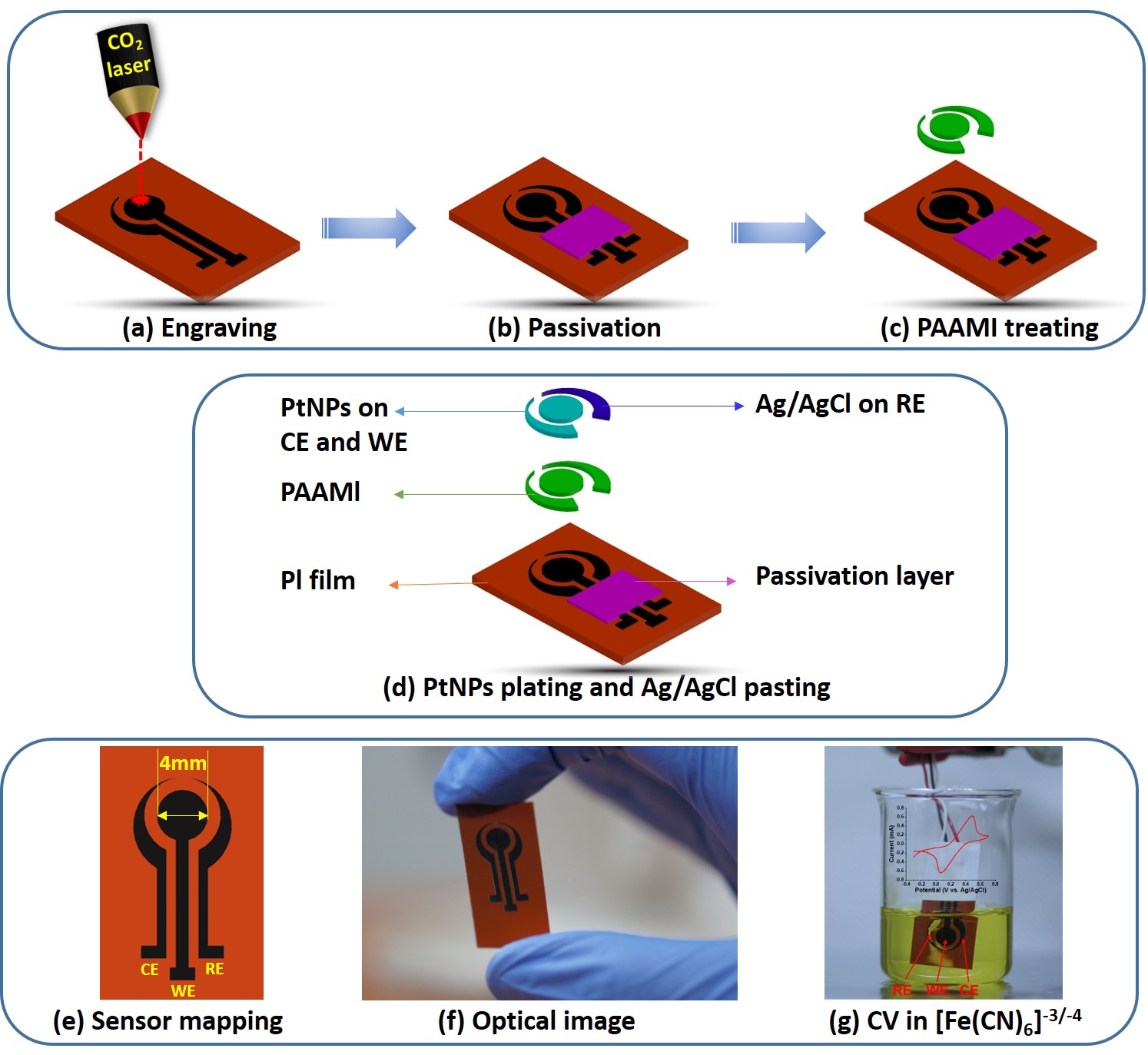 Research on Immunoglobulin Detection using graphene platform is published in Advanced Functional Materials