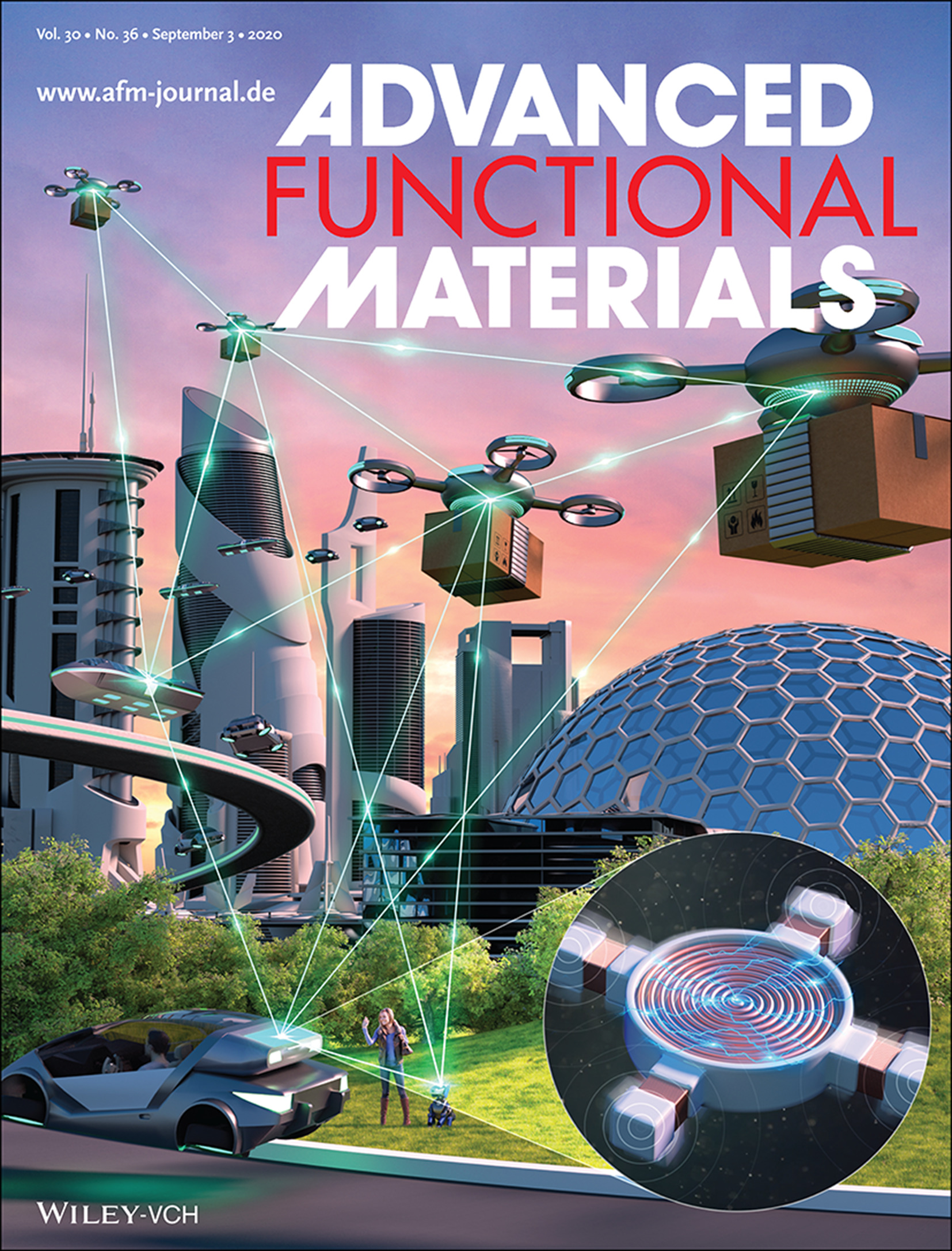 Journal Cover Image published in Advanced Functional Materials