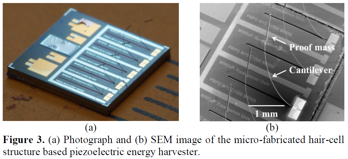 A Hair-cell Structure based Piezoelectric Energy Harvester Operating under Three Dimensional Arbitrary Vibrations