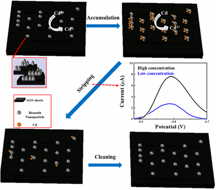 Easy and Direct Sensing of Toxic Cadmium Using In Situ Bismuth Plating Free Method and Environmentally Friendly Synthesized Graphene Composite