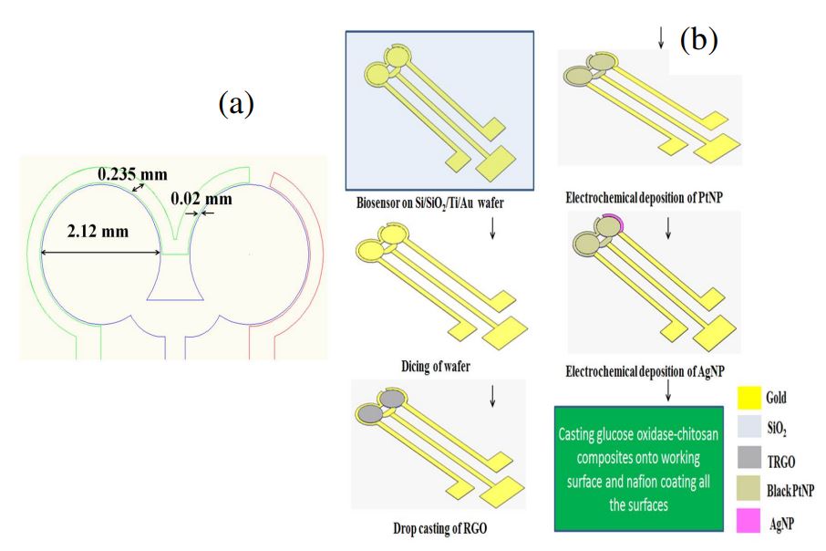 A HIGHLY PERFORMED ENZYMATIC BIOSENSOR USING DISTRIBUTED ELECTRODES DECORATED WITH HYDROTHERMALLY TREATED REDUCED GRAPHENE OXIDE AND PLATINUM NANOPARTICLES