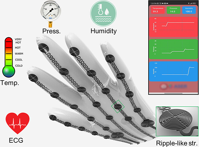 Stretchable and All-Directional Strain-Insensitive Electronic Glove for Robotic Skins and Human–Machine Interfacing