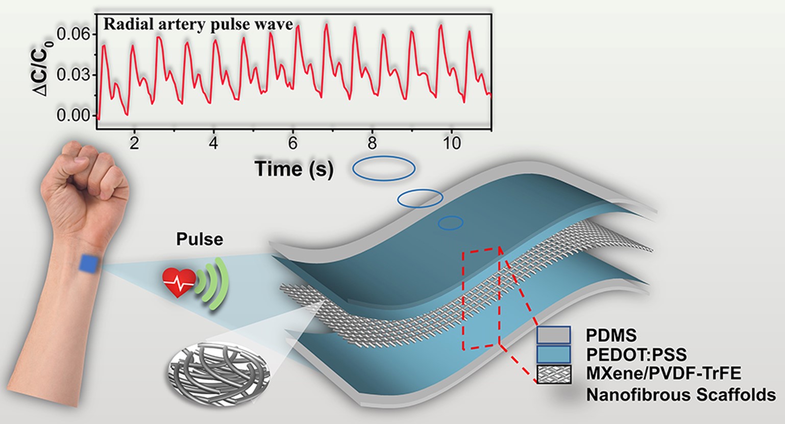 Wearable Capacitive Pressure Sensor Based on MXene Composite Nanofibrous Scaffolds for Reliable Human Physiological Signal Acquisition