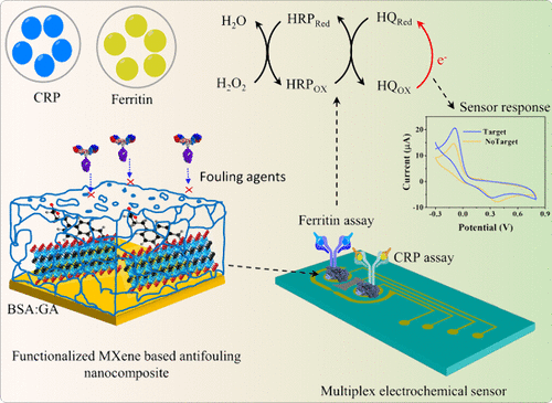 Polyaromatic Hydrocarbon-Functionalized 2D MXene-Based 3D Porous Antifouling Nanocomposite with Long Shelf Life for High-Performance Electrochemical Immunosensor Applications