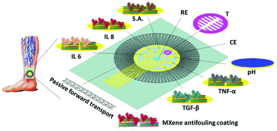 A Multiplexed Bioaffinity Biosensing Patch for Point-of-Care Chronic Ulcer Monitoring