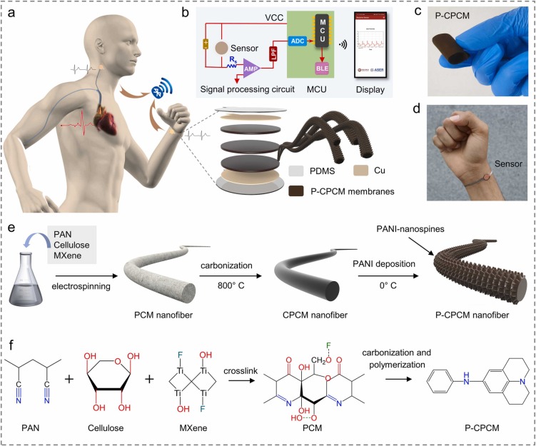 Polyaniline-nanospines engineered nanofibrous membrane based piezoresistive sensor for high-performance electronic skins