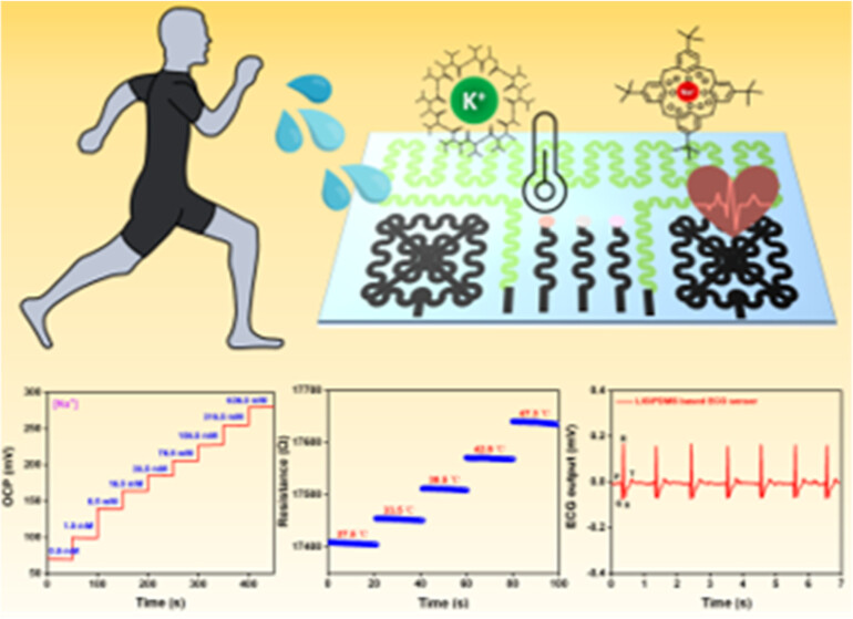 Multifunctional Siloxene-Decorated Laser-Inscribed Graphene Patch for Sweat Ion Analysis and Electrocardiogram Monitoring