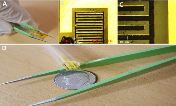 A miniaturized and flexible cadmium and lead ion detection sensor based on micro-patterned reduced graphene oxide/carbon nanotube/bismuth composite electrodes