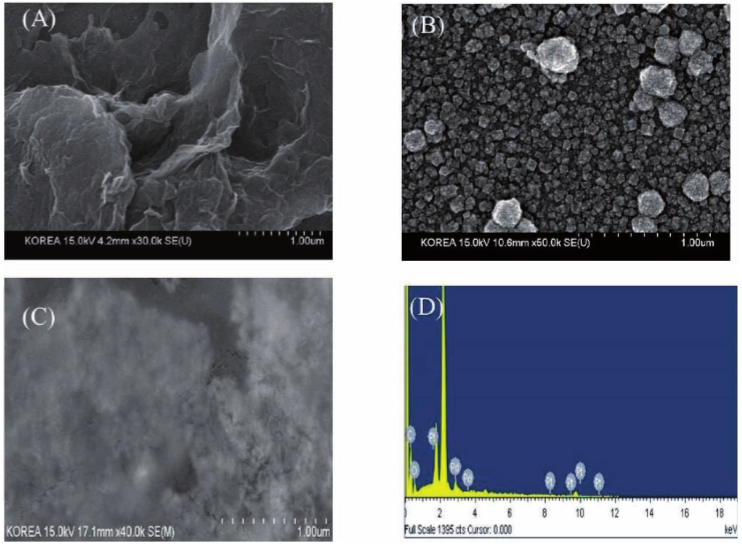 Amperometric Glucose Biosensor Based on Pt-Pd Nanoparticles Supported by Reduced Graphene Oxide and Integrated with Glucose Oxidase