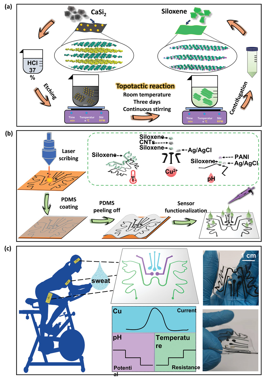 Siloxene-Functionalized Laser-Induced Graphene via COSi Bonding for High-Performance Heavy Metal Sensing Patch Applications