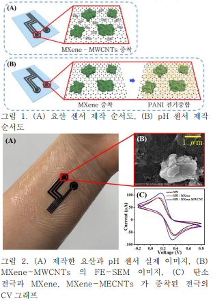 요산 및 pH 동시 모니터링을 위한 MXene 기반 웨어러블 땀 패치센서
