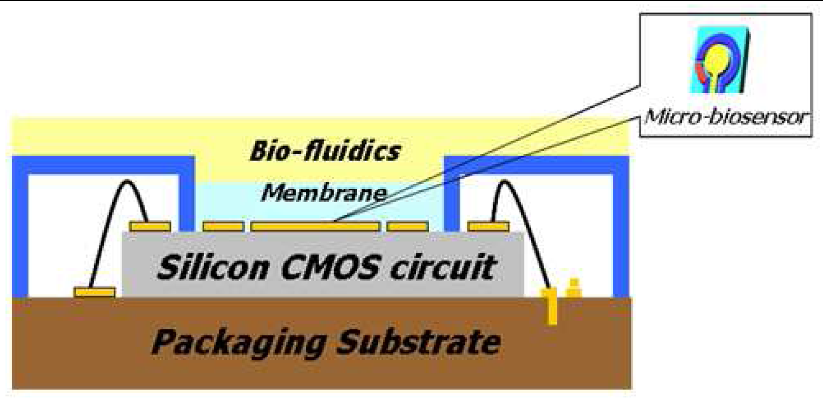 Fabrication and Optimization of a Nanoporous Platinum Electrode and a Non-enzymatic Glucose Micro-sensor on Silicon