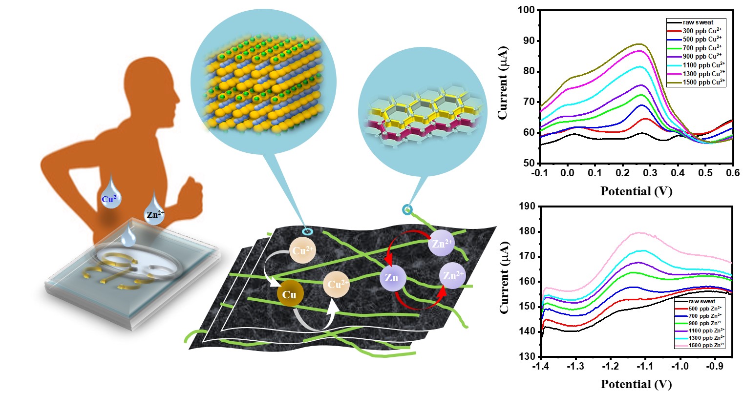 High-Performance Flexible Electrochemical Heavy Metal Sensor Based on Layer-by-Layer Assembly of Ti3C2Tx/MWNTs Nanocomposites for Noninvasive Detection of Copper and Zinc Ions in Human Biofluids