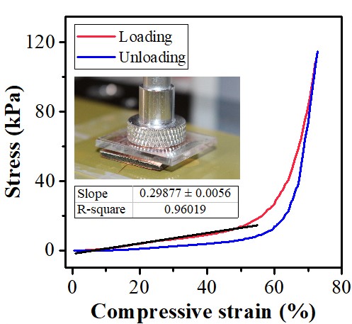 Surface Hydroxylated CaCu3Ti4O12 Wrapped Polyurethane Sponge for Highly Sensitive Pressure Sensing Application