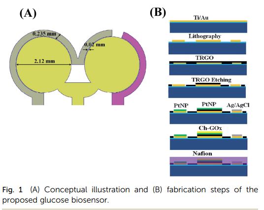 Novel enzymatic glucose biosensor based on distributed electrodes covered with a solvothermal synthesized graphene material and platinum nanoparticles