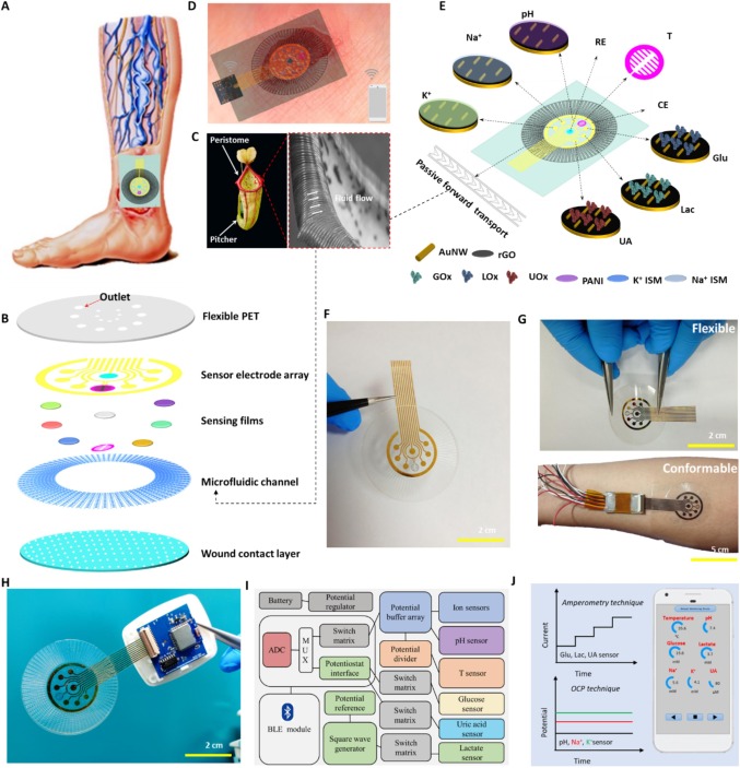 A flexible and multimodal biosensing patch integrated with microfluidics for chronic wound monitoring