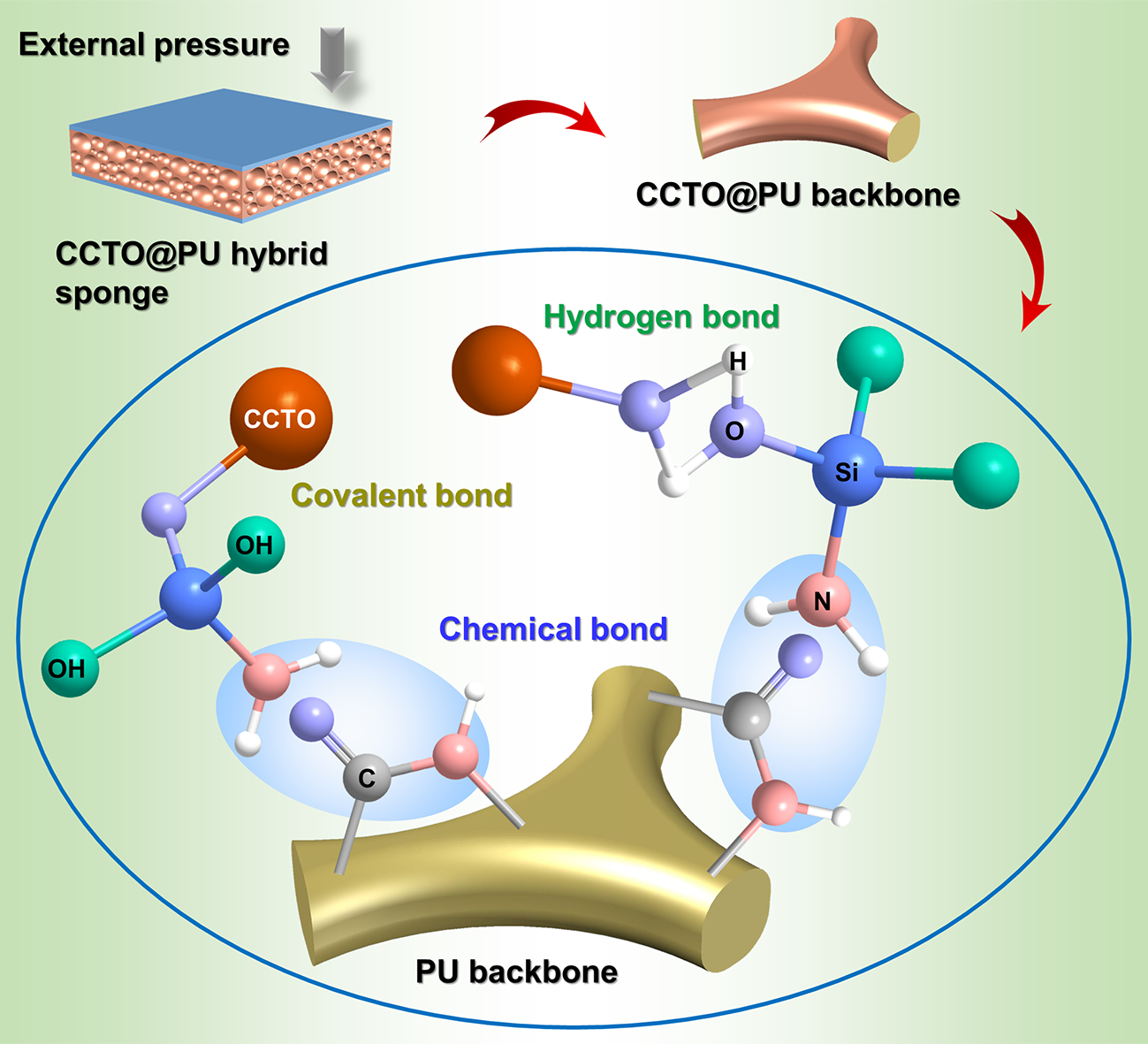 Enhanced Sensitivity of Capacitive Pressure and Strain Sensor Based on CaCu3Ti4O12 Wrapped Hybrid Sponge for Wearable Applications