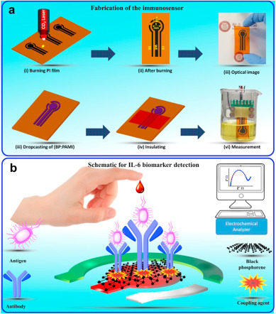 A highly selective and stable cationic polyelectrolyte encapsulated black phosphorene based impedimetric immunosensor for Interleukin-6 biomarker detection